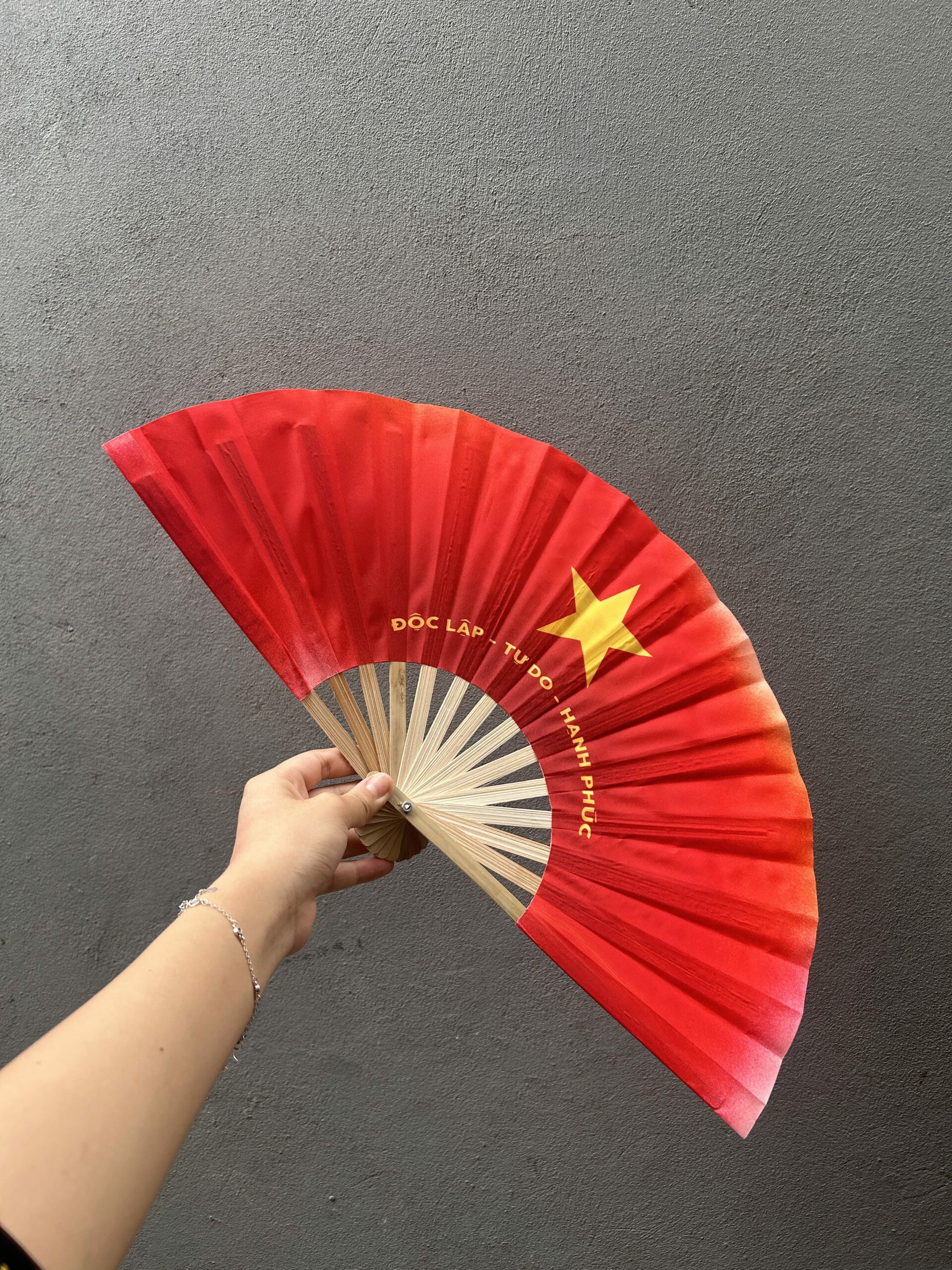 QUẠT VIỆT NAM – VẺ ĐẸP BÌNH DỊ MÀ GẦN GŨI - Image 23